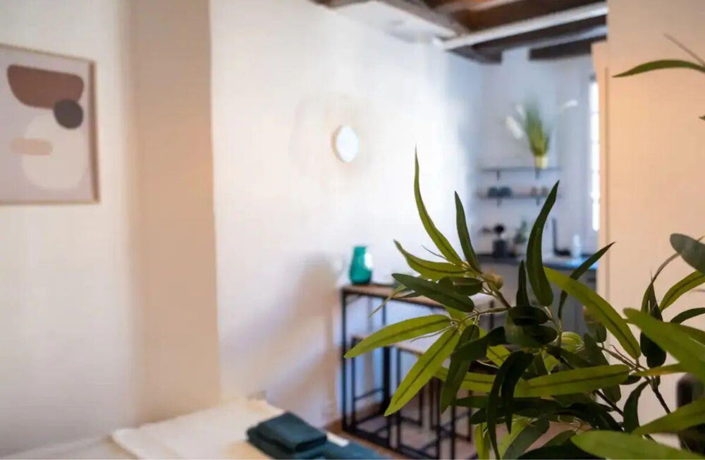 Location Appartement Beau studio meublé 13m² quai de Turenne Nantes