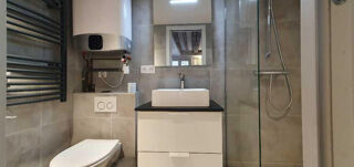  Appartement à louer 1 pièce 30 m²
