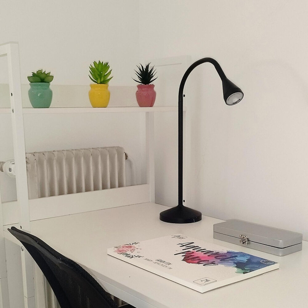 Location Appartement Colocation chaleureuse et conviviale Toulouse