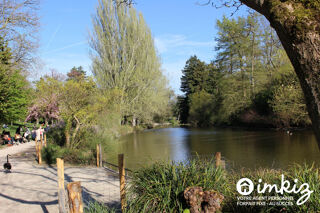  Appartement à vendre 4 pièces 67 m²