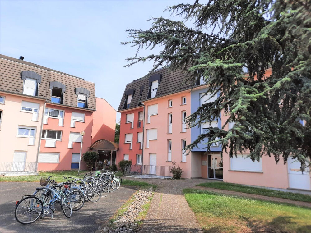 Location Appartement Beau studio MEUBLE 24m² ENTIEREMENT REFAIT A NEUF Illkirch-graffenstaden
