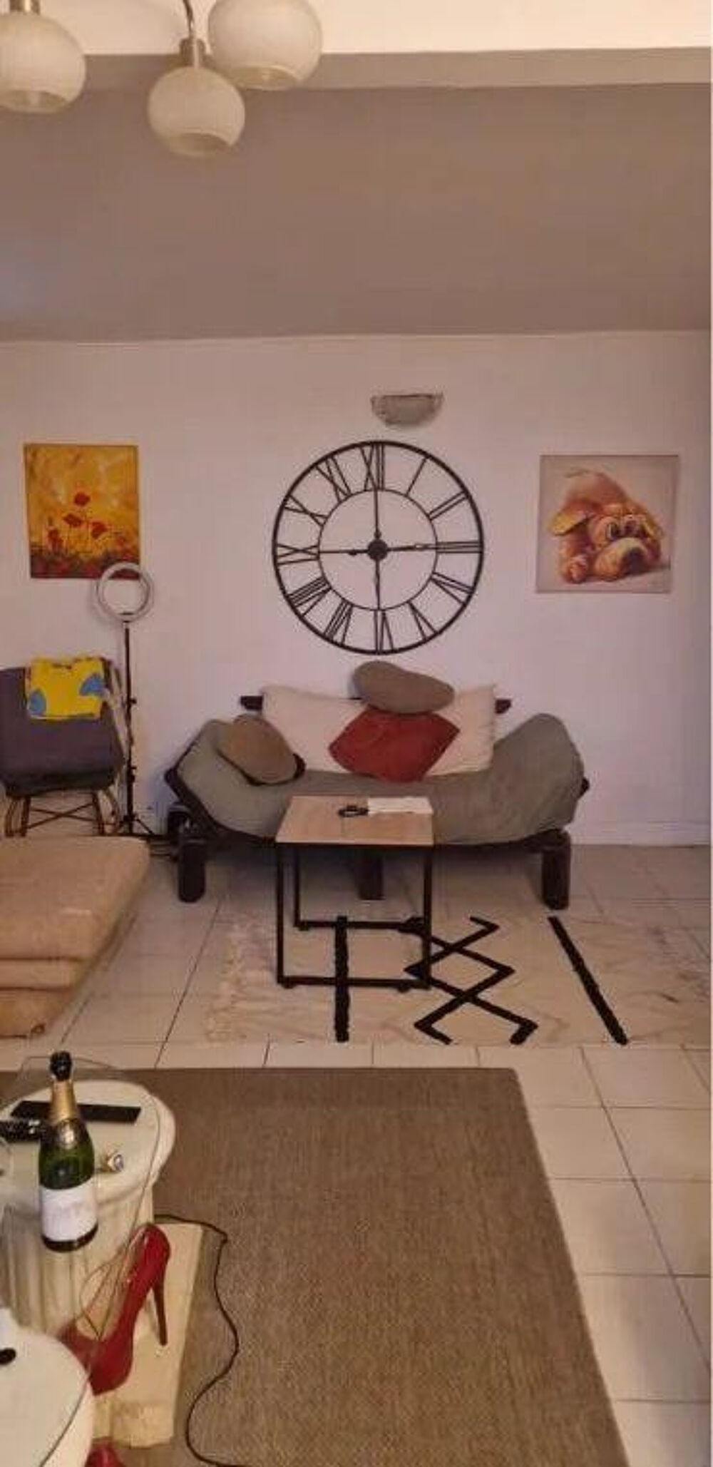 Location Appartement Charmant 2P 57m² en souplex Pantin