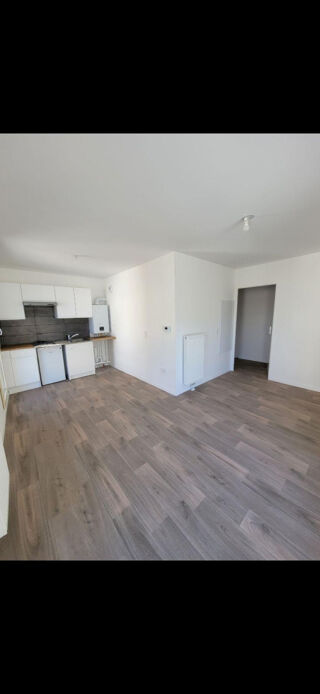  Appartement à louer 1 pièce 20 m²