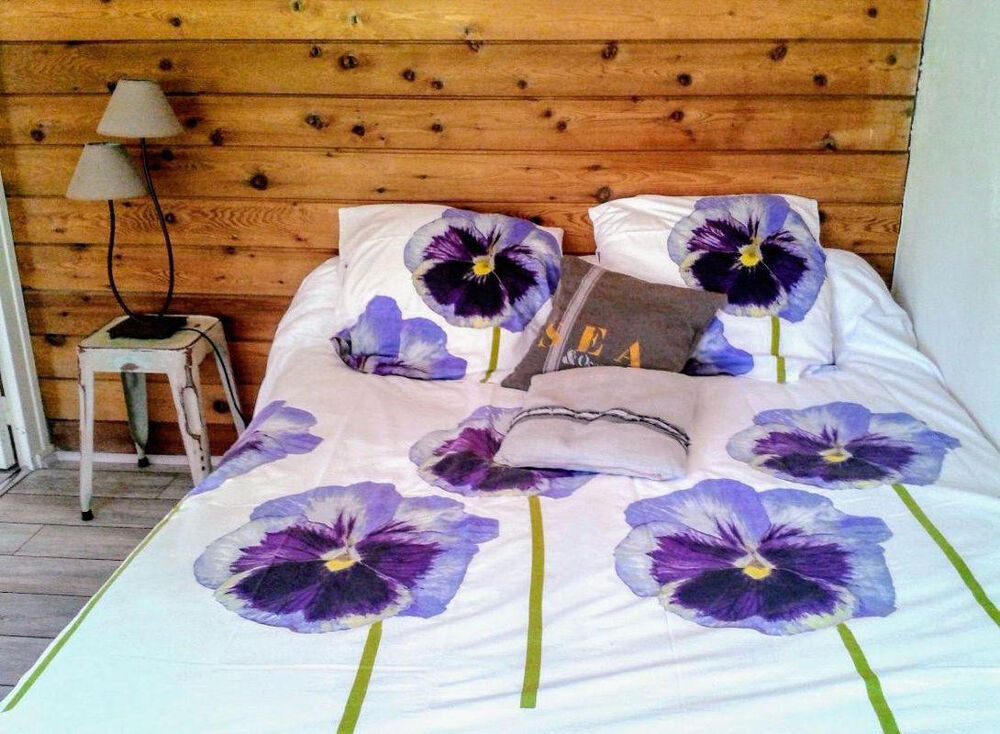 Location Appartement Coquet T1 Bis meublé idéalement situé Annecy