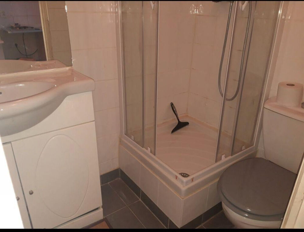 Location Appartement Studio meublé 15m2 Métro Bastille/Gare de Lyon Paris 11