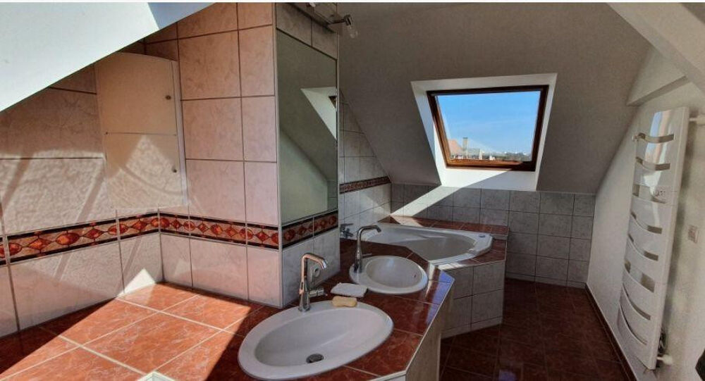 Location Appartement Bel appartement duplex (Strasbourg Orangerie) Strasbourg