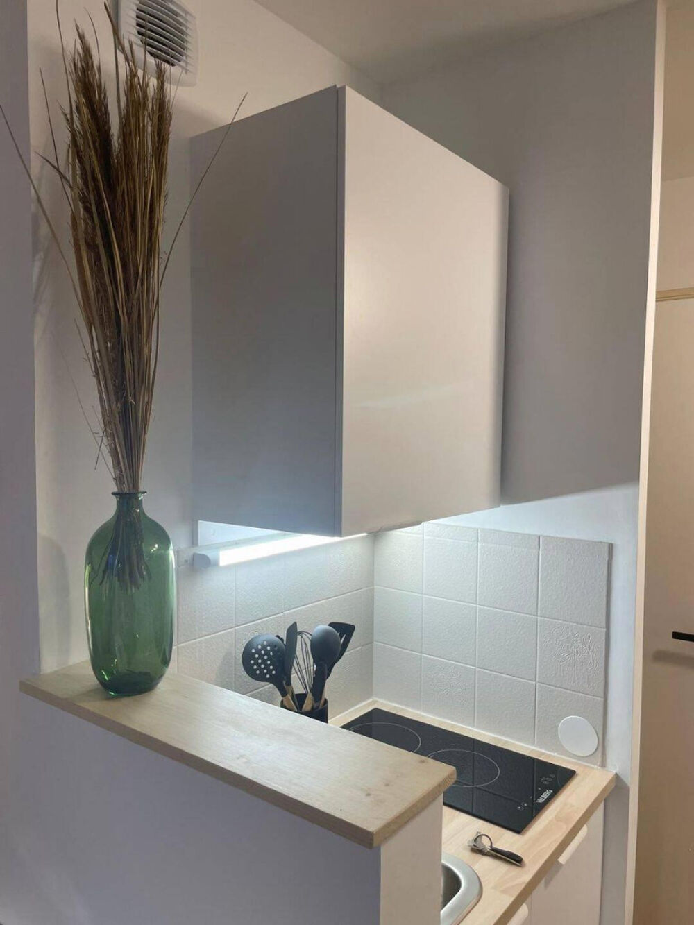 Location Appartement Beau studio meublé 21m² idéal étudiant Lyon 7