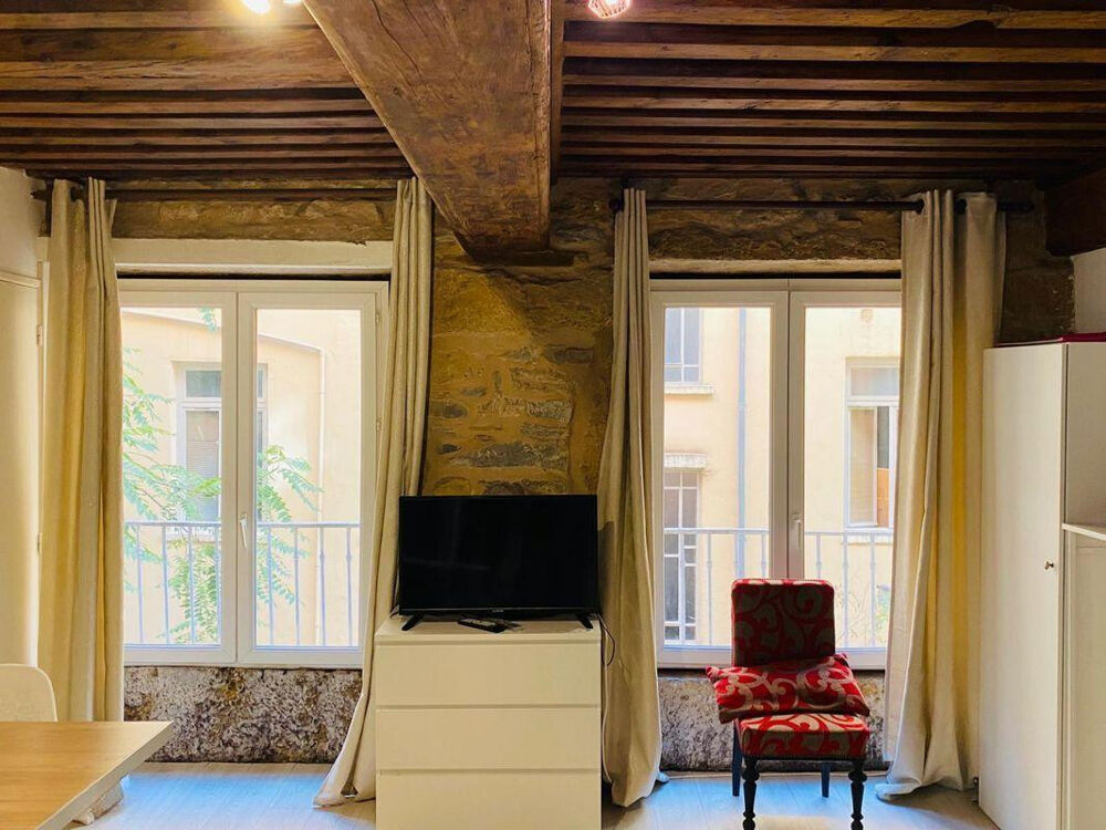 Location Appartement Studio 22 m2 Lyon 1