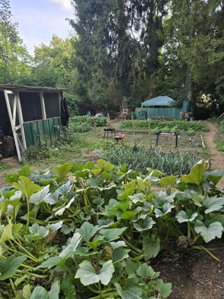  Maison � louer 4 pi�ces 90 m�