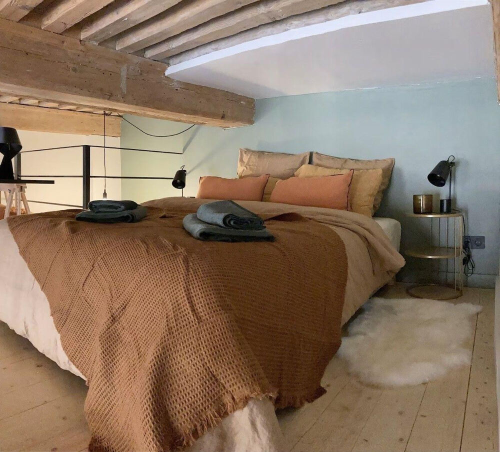 Location Appartement Superbe studio meublé 31m² (42m² au sol) Lyon 1