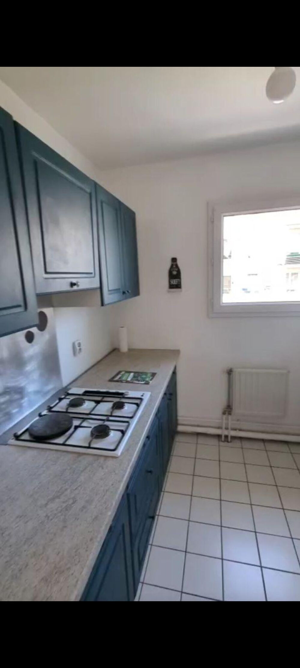 Location Appartement Appartement 2P 46  m² bien équipé Courdimanche