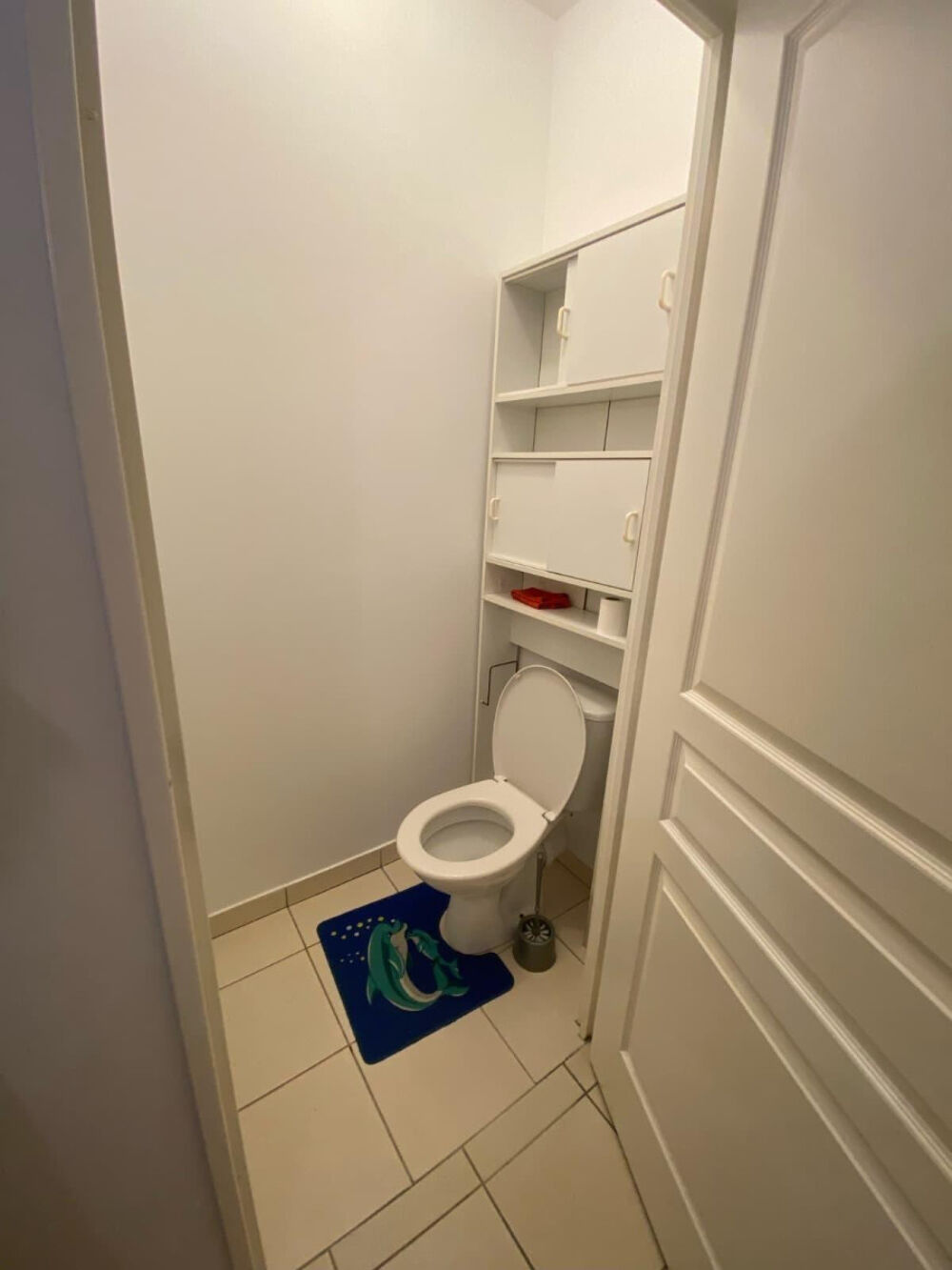 Location Appartement Très bel appartement Lyon 3