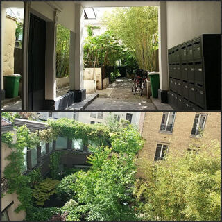  Appartement à louer 1 pièce 23 m²