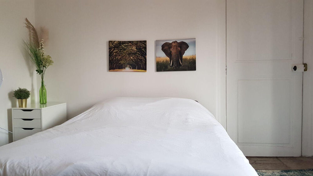 Location Appartement Beau T2 lumineux et meublé - Centre historique Montpellier
