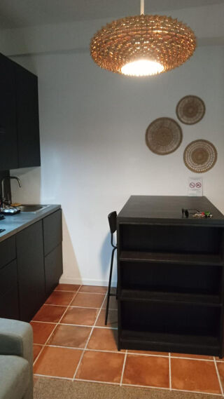  Appartement à louer 1 pièce 25 m²