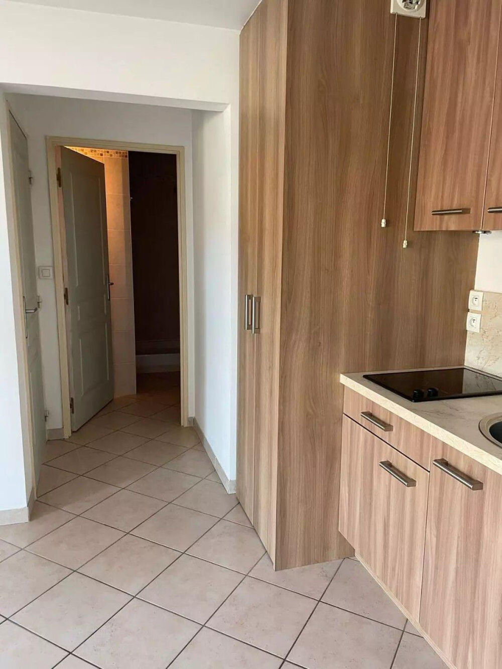 Location Appartement Beau 2P 35m² très clair Vienne
