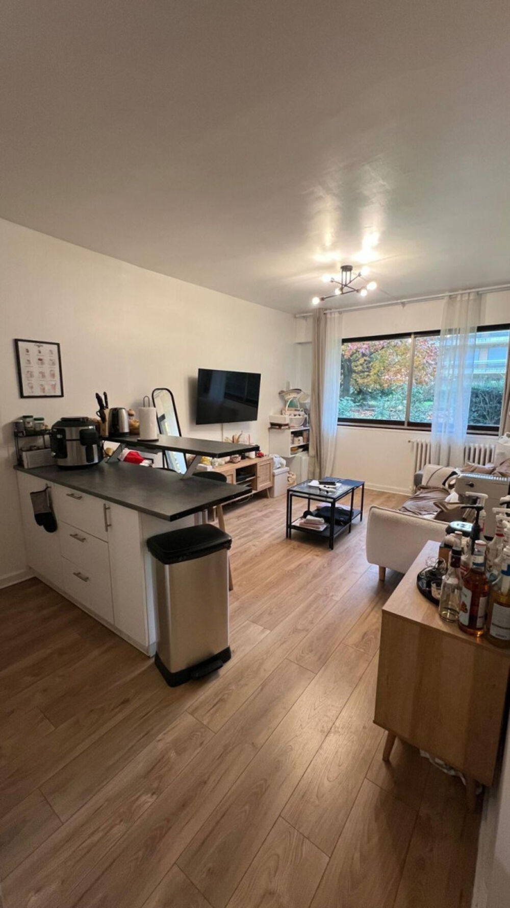 Location Appartement Beau 2P meublé 38m² avec accès jardin Les lilas