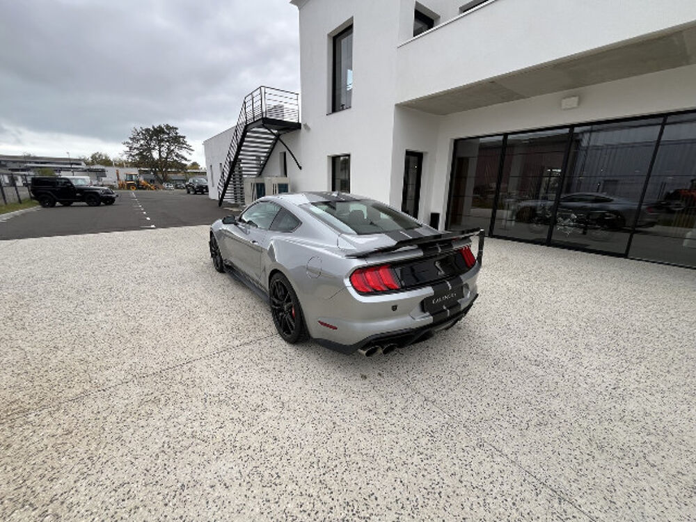 Mustang GT500 2020 occasion 33260 La Teste-de-Buch