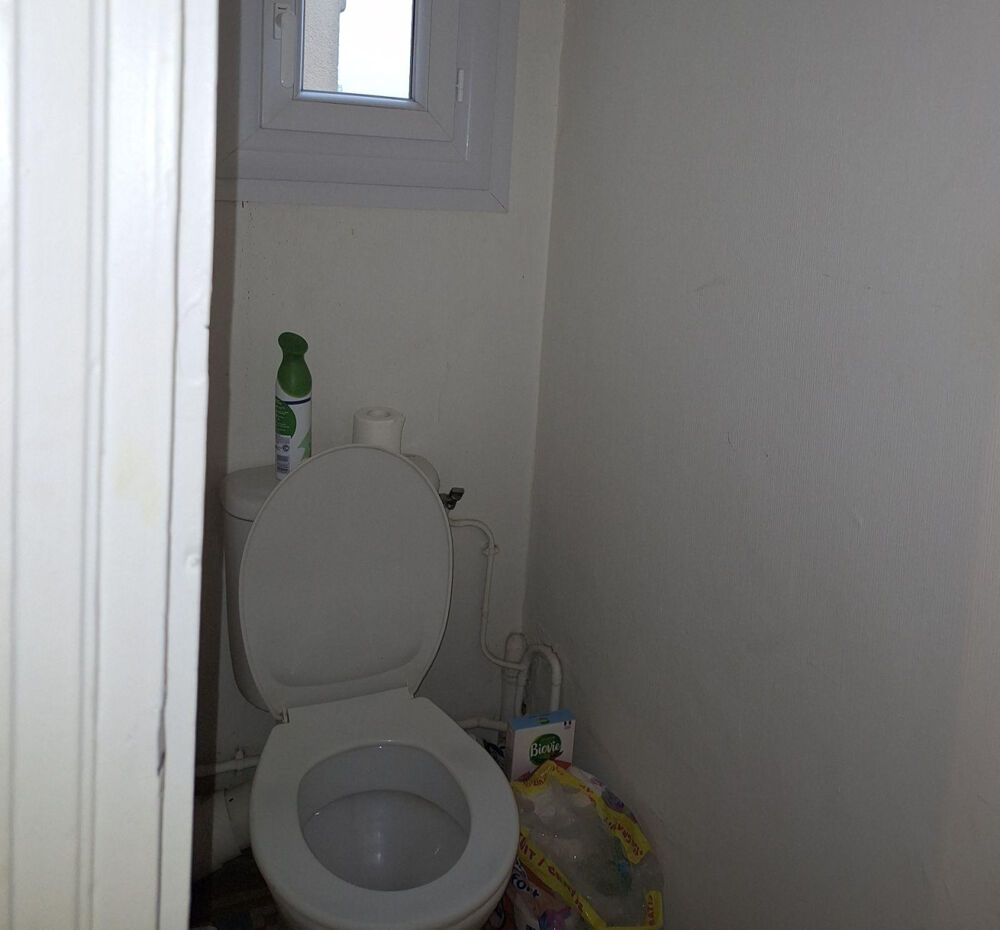 Location Appartement Bel appartement très clair Rennes