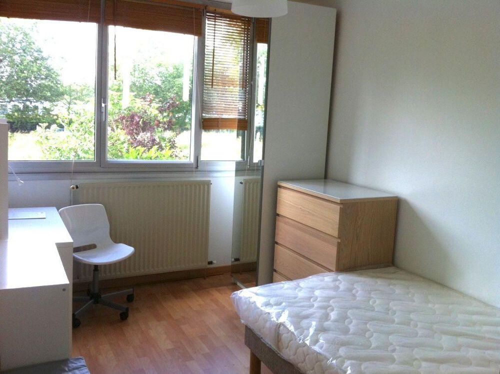 Location Appartement Chambres dans colocation  proche la CATHO Lille
