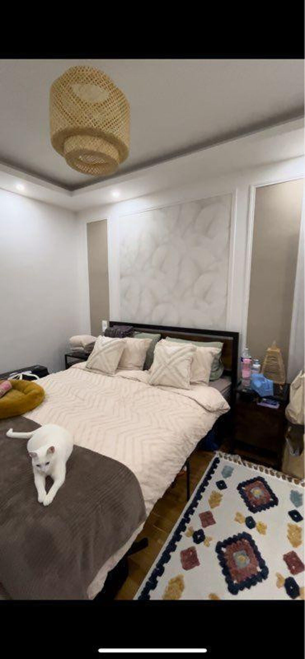 Location Appartement Bel appartement rénové agréable et fonctionnel Colombes
