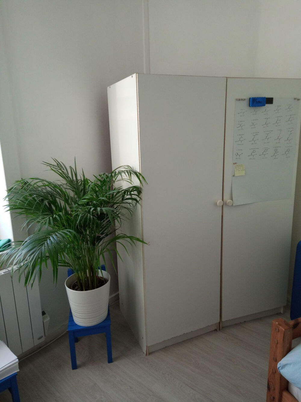 Location Appartement Chambre en colocation Lille