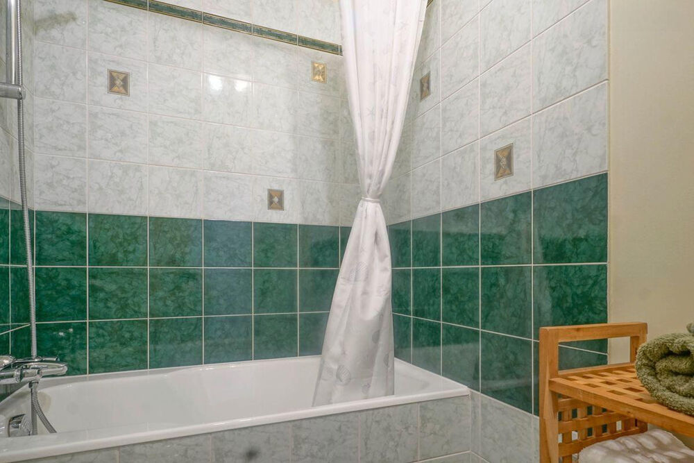 Location Appartement T1 refait à neuf meublé cosy et lumineux terrasse Paris 15