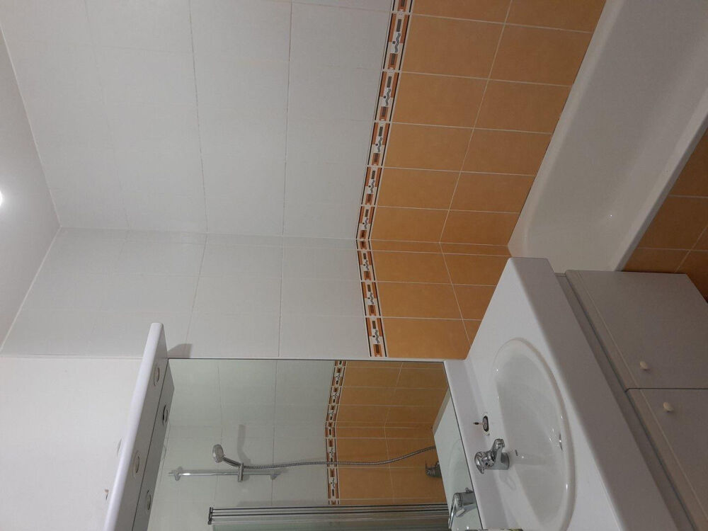Location Appartement Appartement 2 pièces meublé à louer Villeurbanne