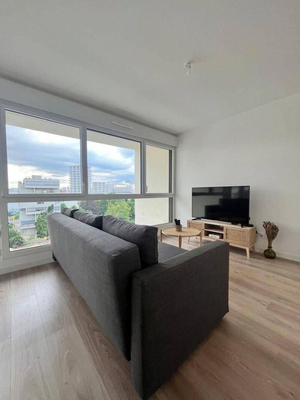 Location Appartement Beau 3P meublé 64m² avec balcon Ivry-sur-seine