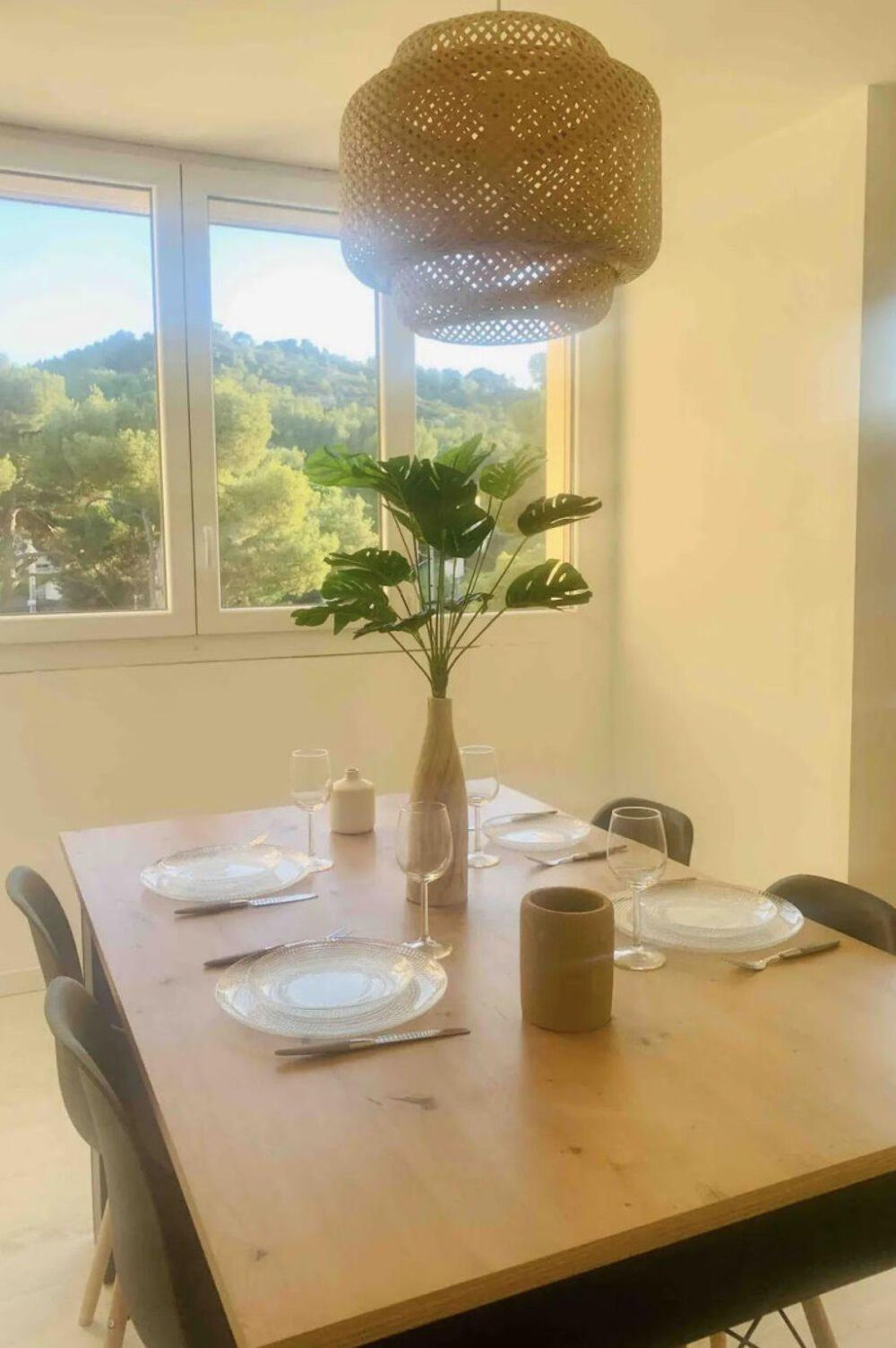 Location Appartement Beau 3P meublé avec balcon Idéal Coloc ou Famille Marseille 9