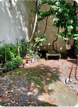  Appartement � louer 1 pi�ce 17 m�