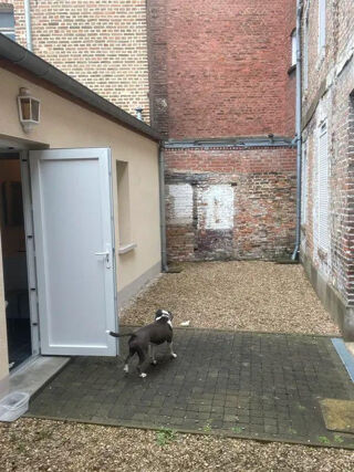  Appartement � louer 1 pi�ce 25 m�