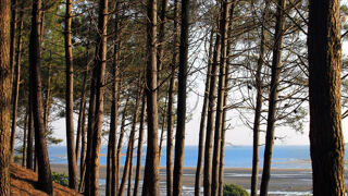  Terrain à vendre 671 m²