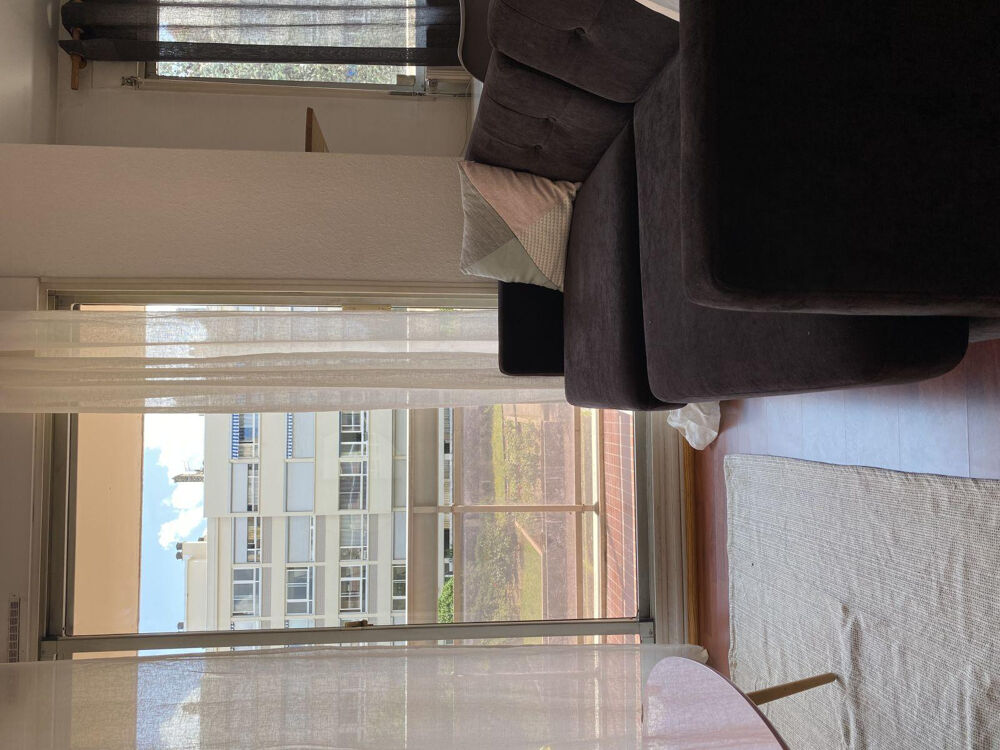 Location Appartement Superbe Appartement rue Massena - 27m2 Lyon 6