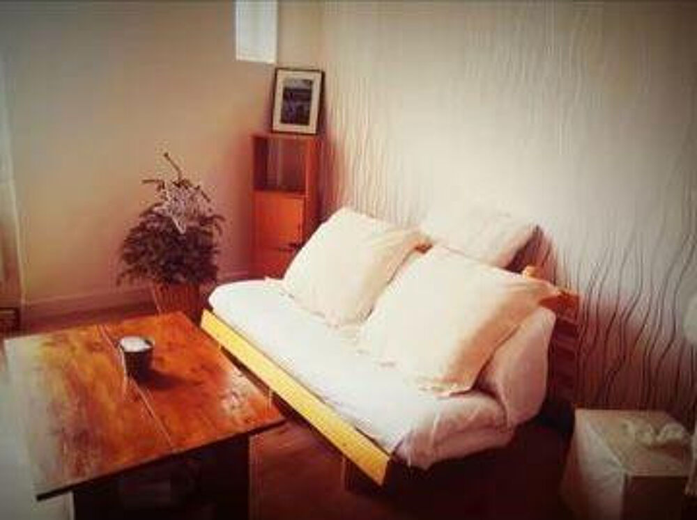 Location Appartement Meublé T1 + mezzanine de 24m2 Hôpitaux Montplaisir Lyon 8