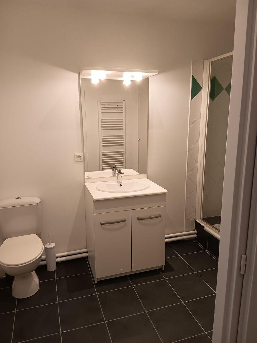 Location Appartement Magnifique T2 meublé hypercentre Chambéry Chambéry