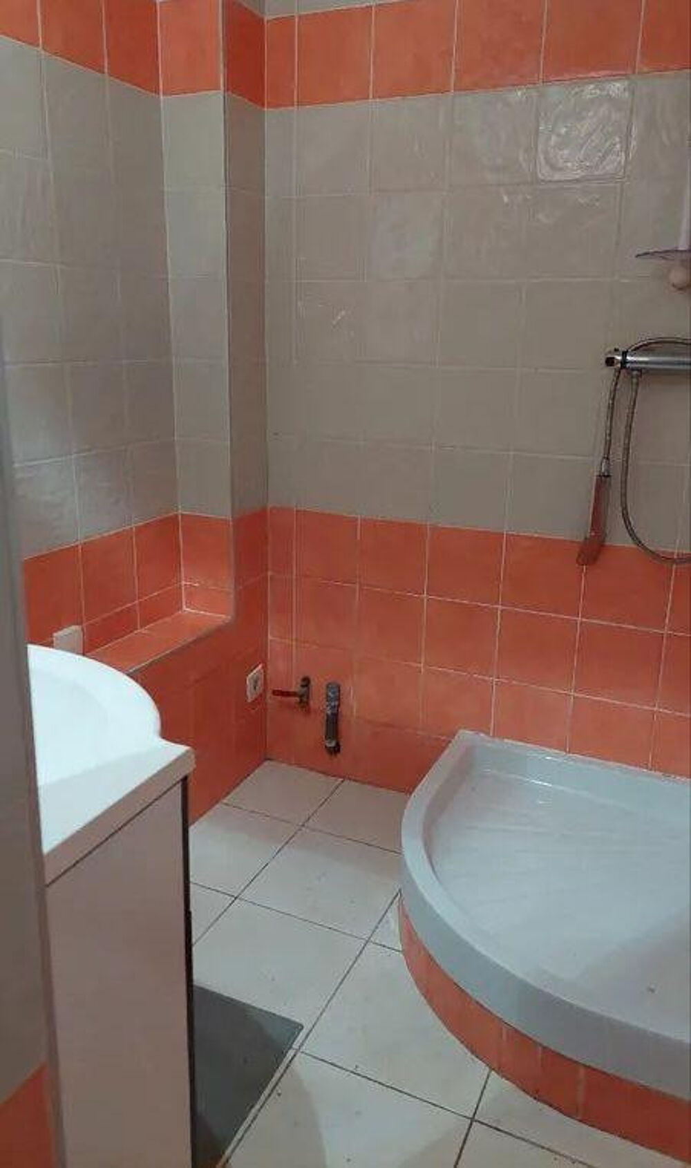 Location Appartement Beau studio meublé donnant sur un jardin Lyon 4