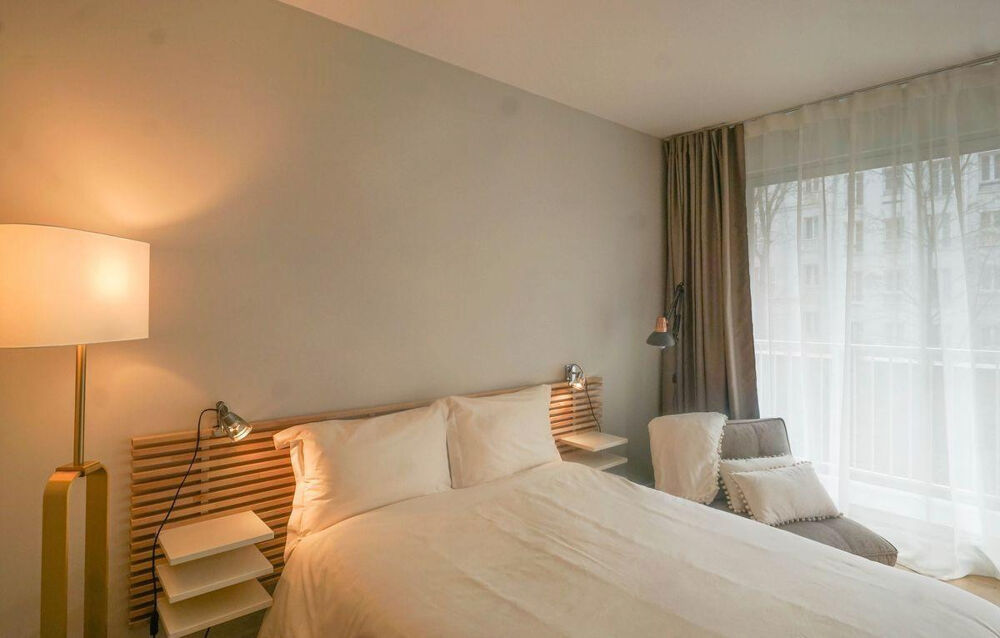 Location Appartement T1 refait à neuf meublé cosy et lumineux terrasse Paris 15