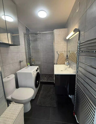  Appartement à louer 1 pièce 29 m²