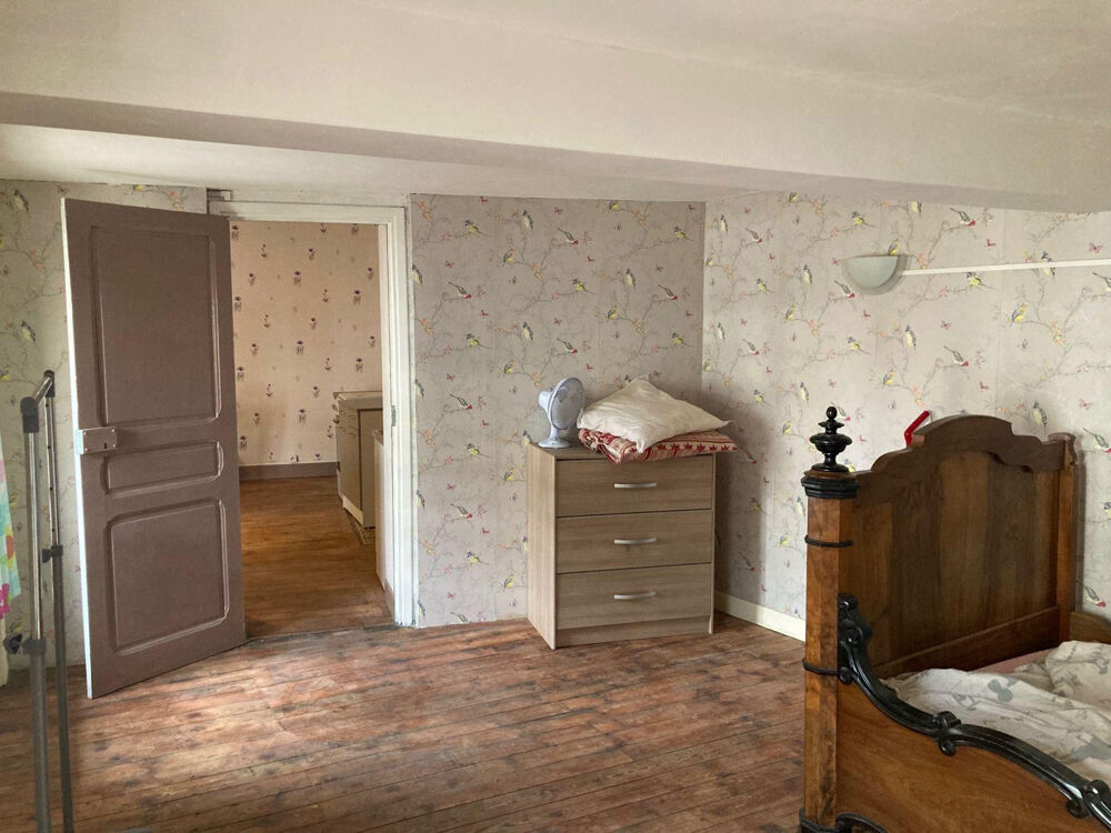 Location Appartement Appart 50m²  HYPER CENTRE ALBI avec terrasse. Albi