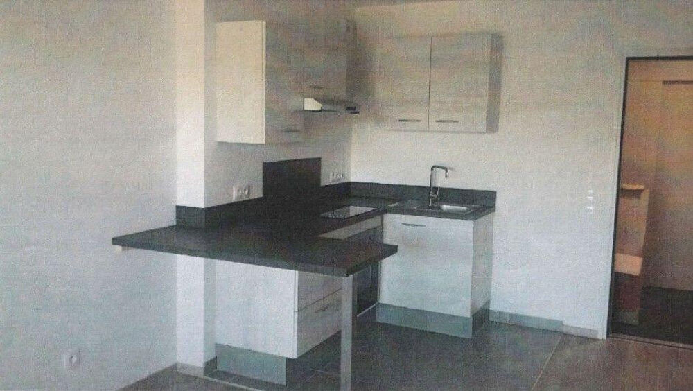 Location Appartement Superbe 2P 38m2 avec terrasse à Strasbourg Strasbourg