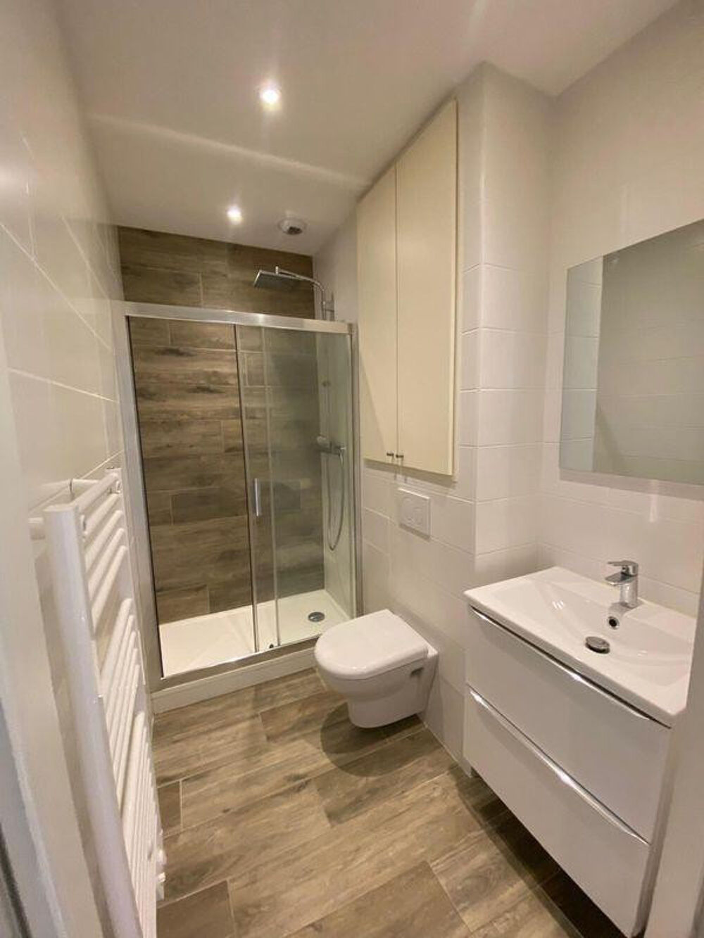 Location Appartement Studio rénové 21m2 Villeurbanne