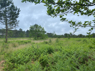  Terrain � vendre 499 m�