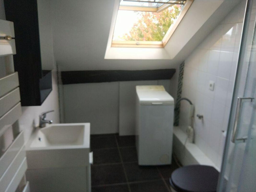 Location Appartement Location Studio avec Mezzanine - hyper centre Nant Nantes