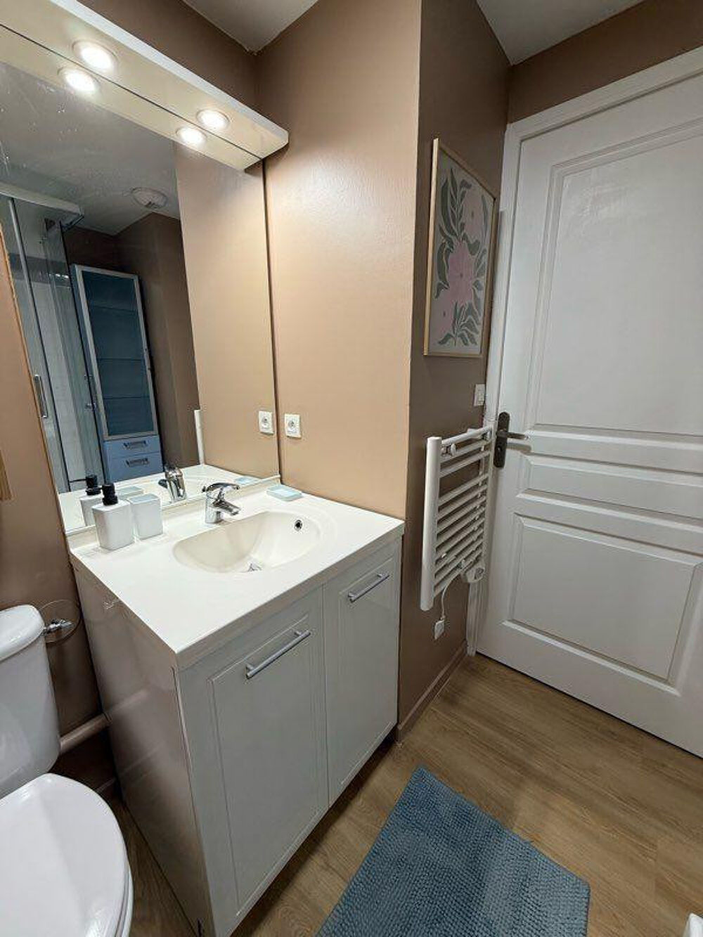 Location Appartement Beau studio meublé rénové de 19 m² Lyon 3