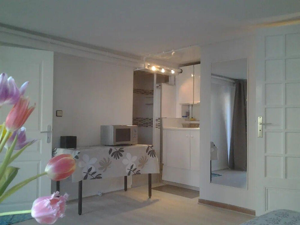 Location Appartement Studio agréable indépendant vue sur jardin Colombes