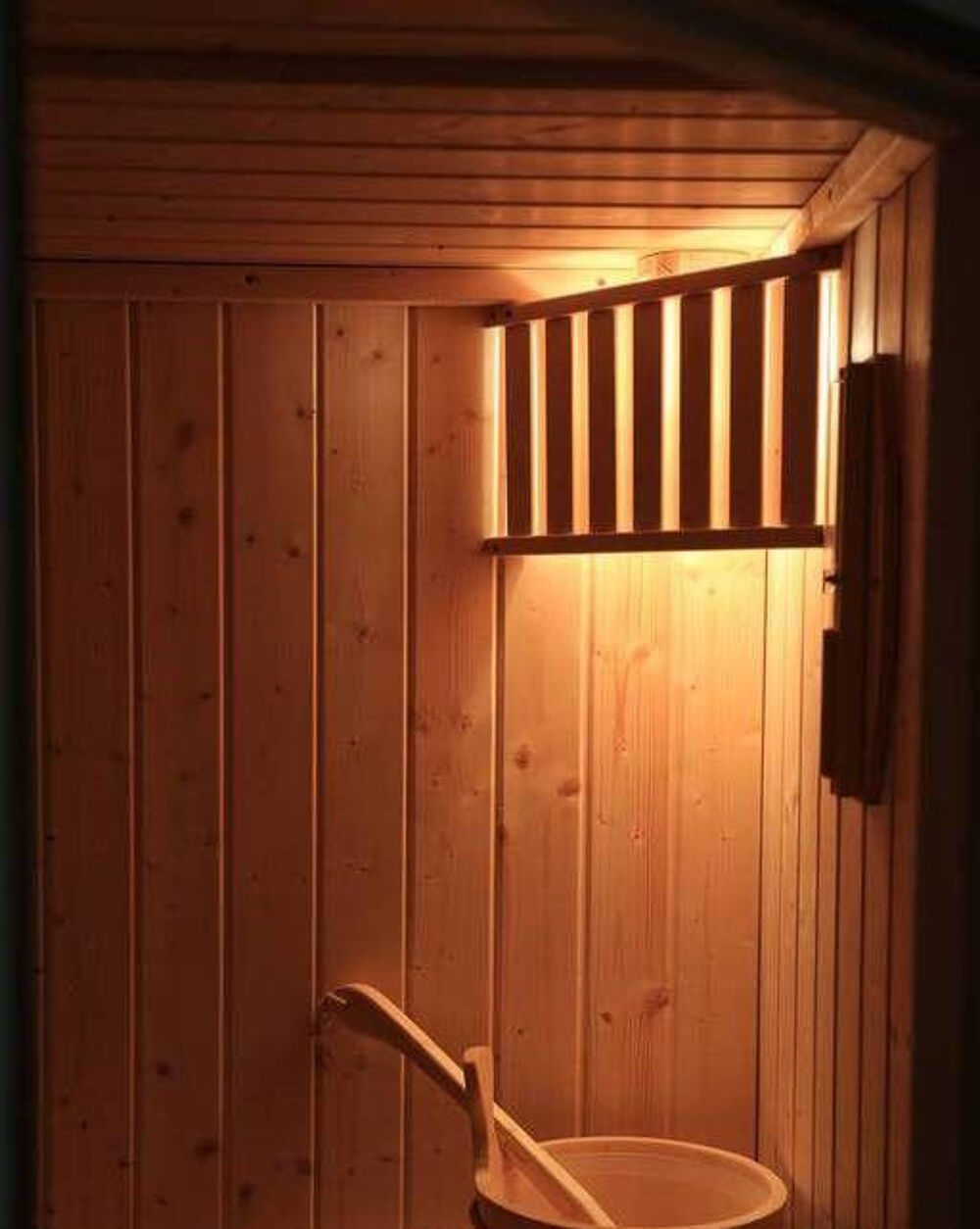 Location Appartement Appartement luxe équipé d'un sauna finlandais Rungis