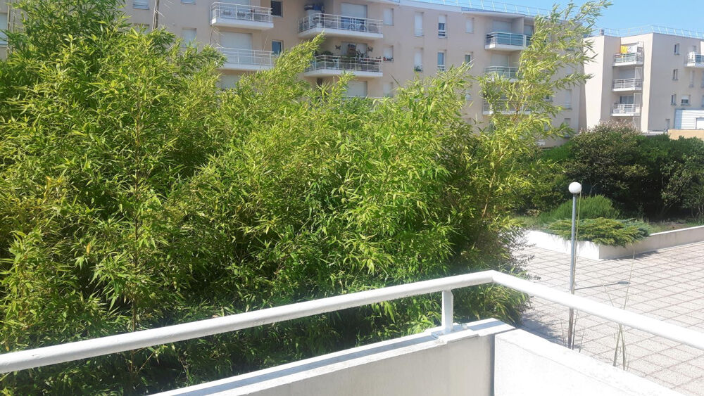 Location Appartement Beau T2 meublé 55m² Chartrons Proche Quais Bordeaux
