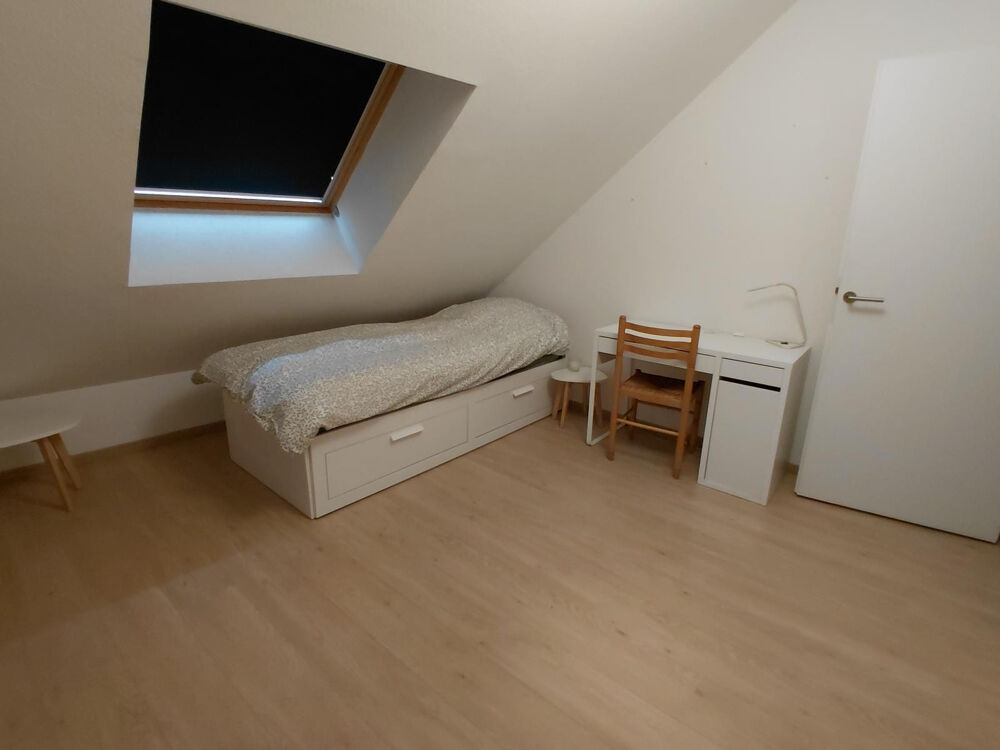 Location Appartement COLOCATION COSY DUPLEX TERRASSE STRASBOURG Strasbourg