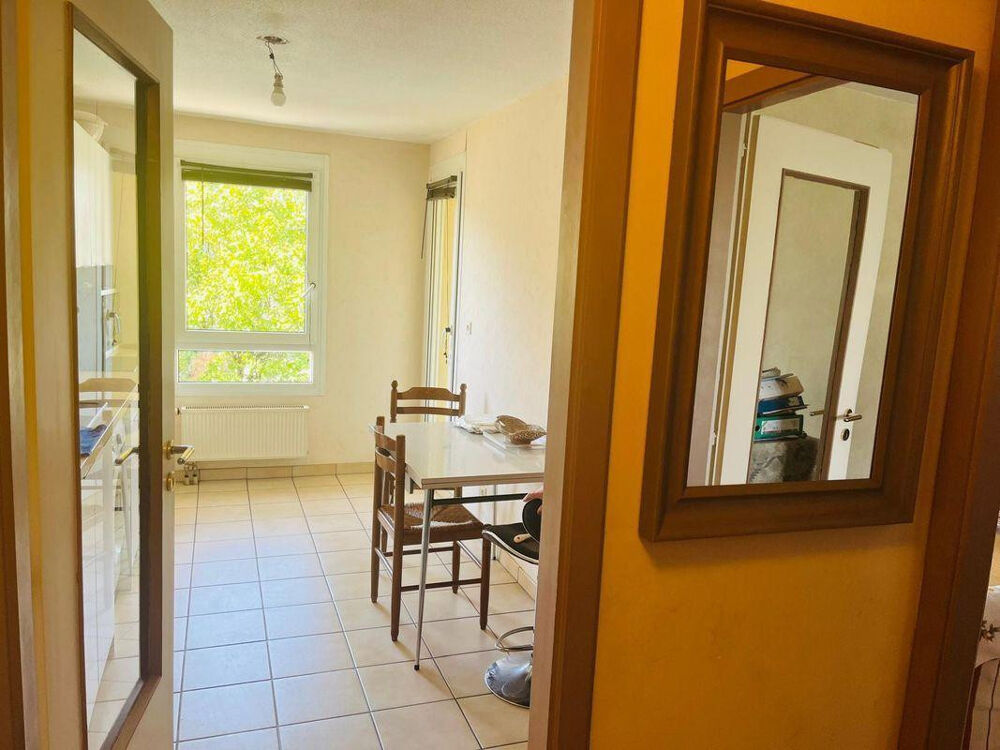 Location Appartement Appartement à louer, 2 pièces à Koenigshoffen Strasbourg